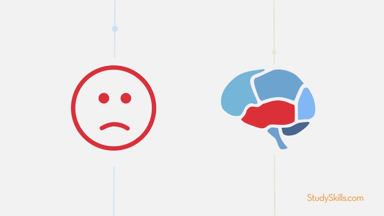 Imagine the Motivation Circuit in Your Brain! #motivation