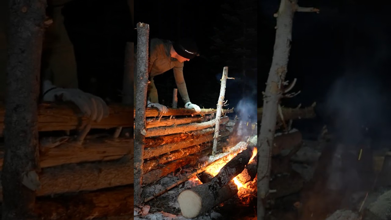 Solo Winter Camping - Bushcraft Shelter #bushcraft #camping #survival