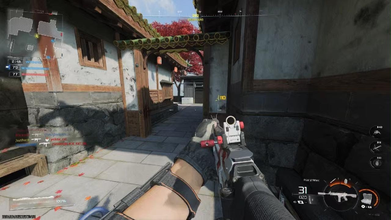 Call of Duty idk why old lady said i was cheating