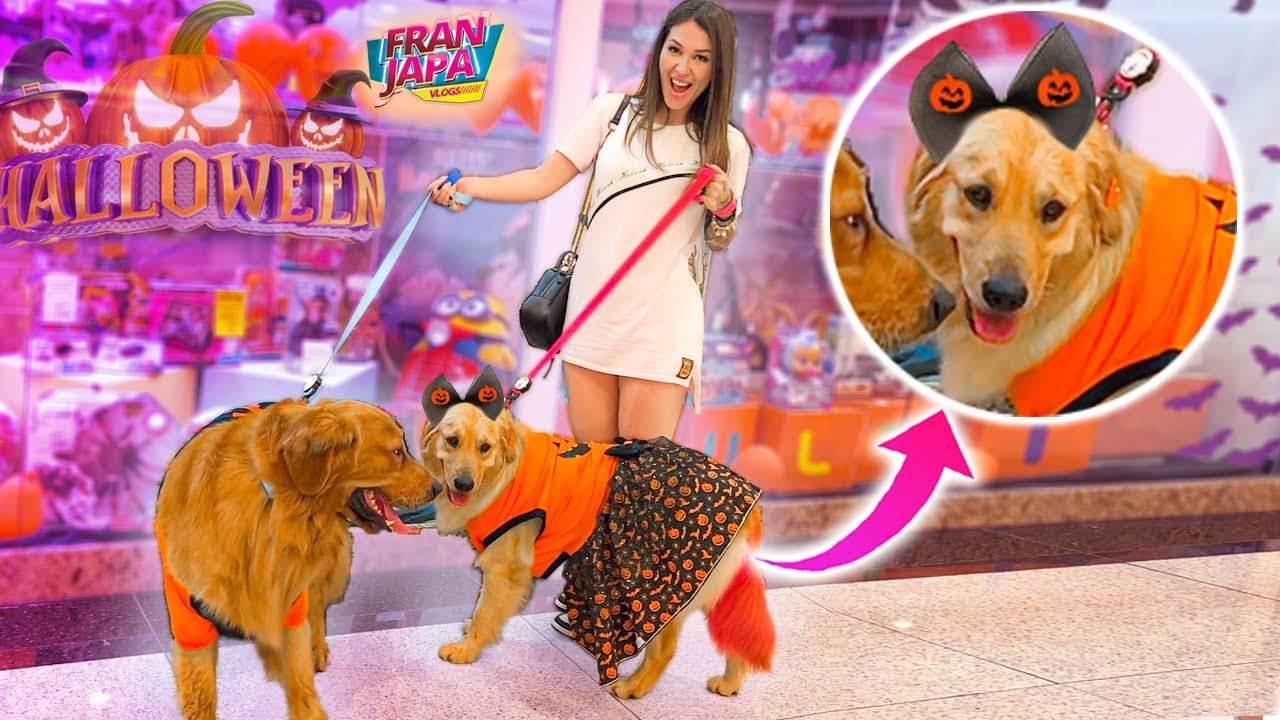MEUS CACHORROS FANTASIADOS PARA HALLOWEEN - Fran Japa