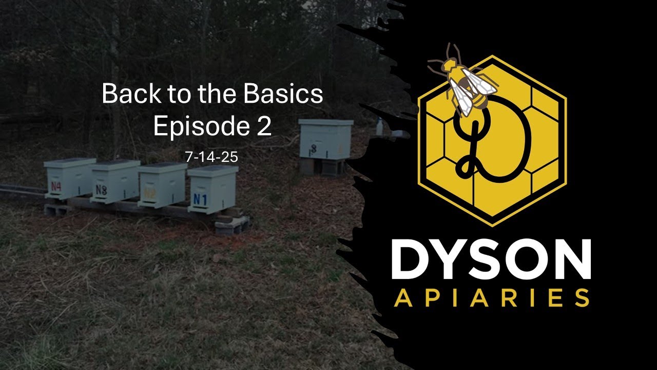 Back to the Basics – Episode 2 - 7.14.25 - Colony Inspection & Robbing Prevention