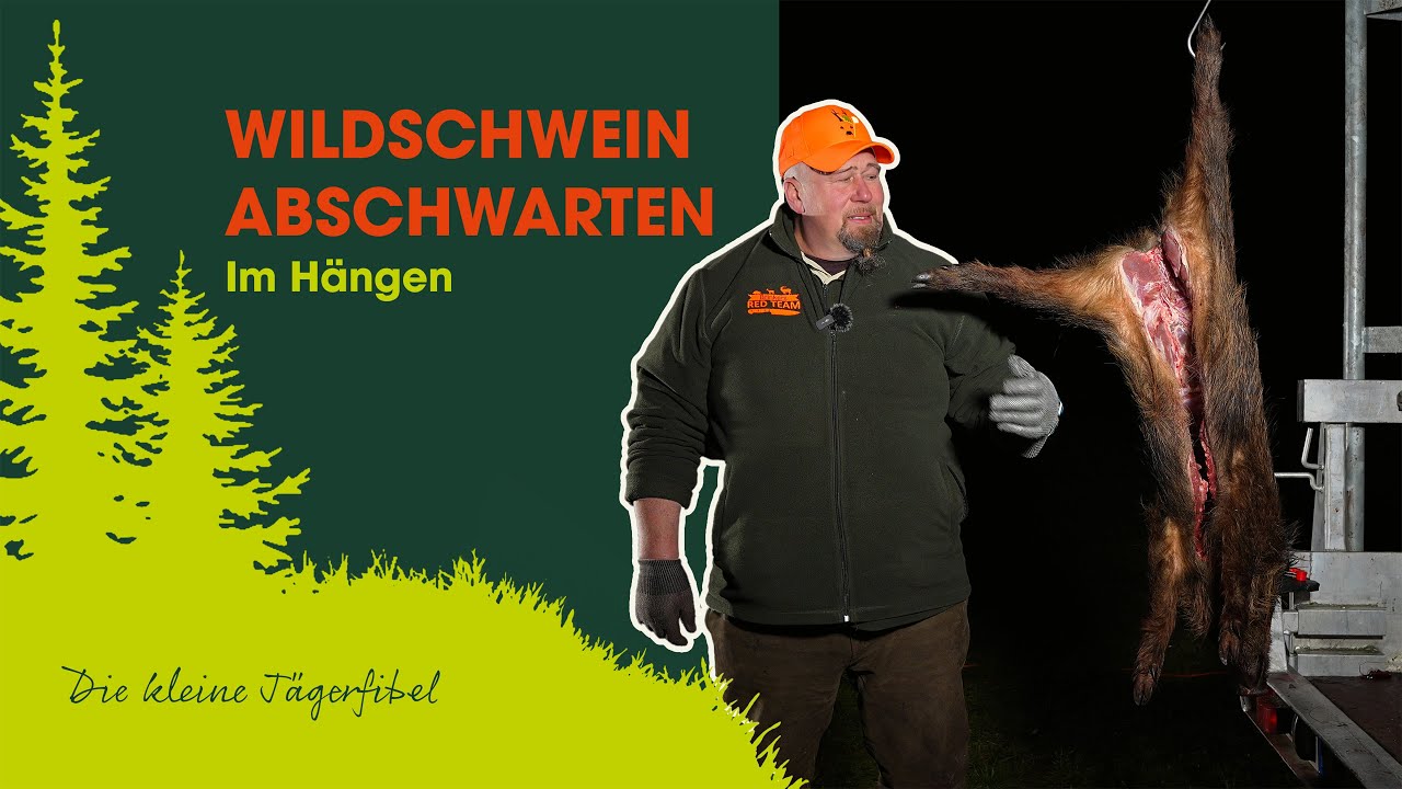 Wildschwein abschwarten: Profi Schritt-f&uuml;r-Schritt Anleitung f&uuml;r J&auml;ger &ndash; so geht's! | J&auml;gerfibel