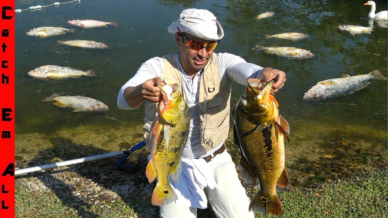 EVERYTHING is DEAD in My LAKE!