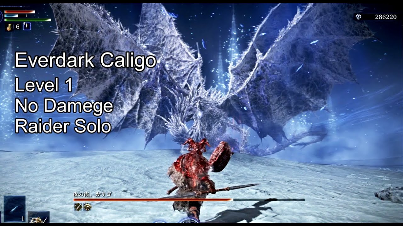 【レベル1/ノーダメージ/無頼漢ソロ】常夜の王 カリゴ/Everdark Sovereign Caligo RAIDER Solo【Nightreign】