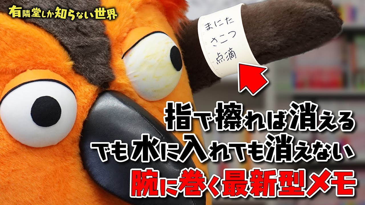 【イチオシ４選】メモ帳の世界 ～有隣堂しか知らない世界137～
