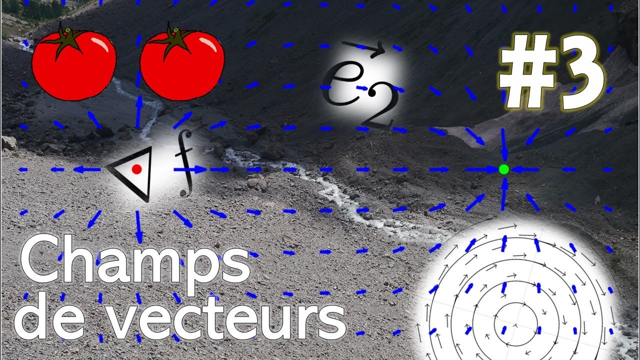 Thomaths 3 : Champs de Vecteurs (calcul différentiel 1)