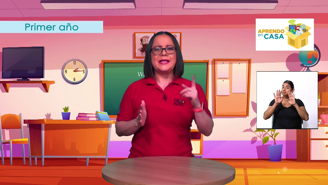 Reconocimiento de la historia personal para visualizarse como parte de una familia - Primer año