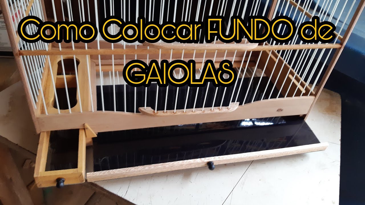 Como Colocar FUNDO de GAIOLAS
