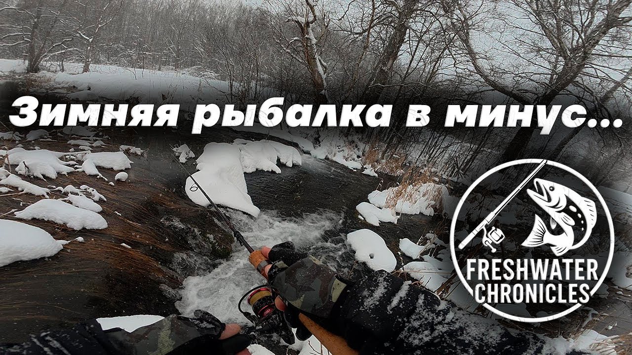 Форель ловит нас на 