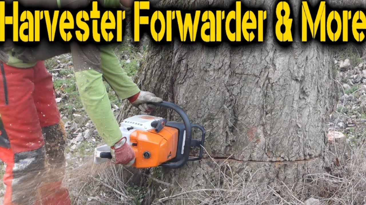 STIHL 461 & 660