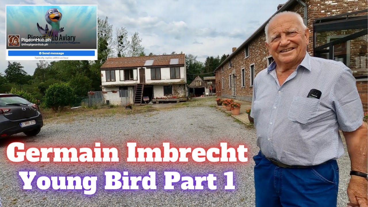 Germain Imbrecht Young Bird Part 1