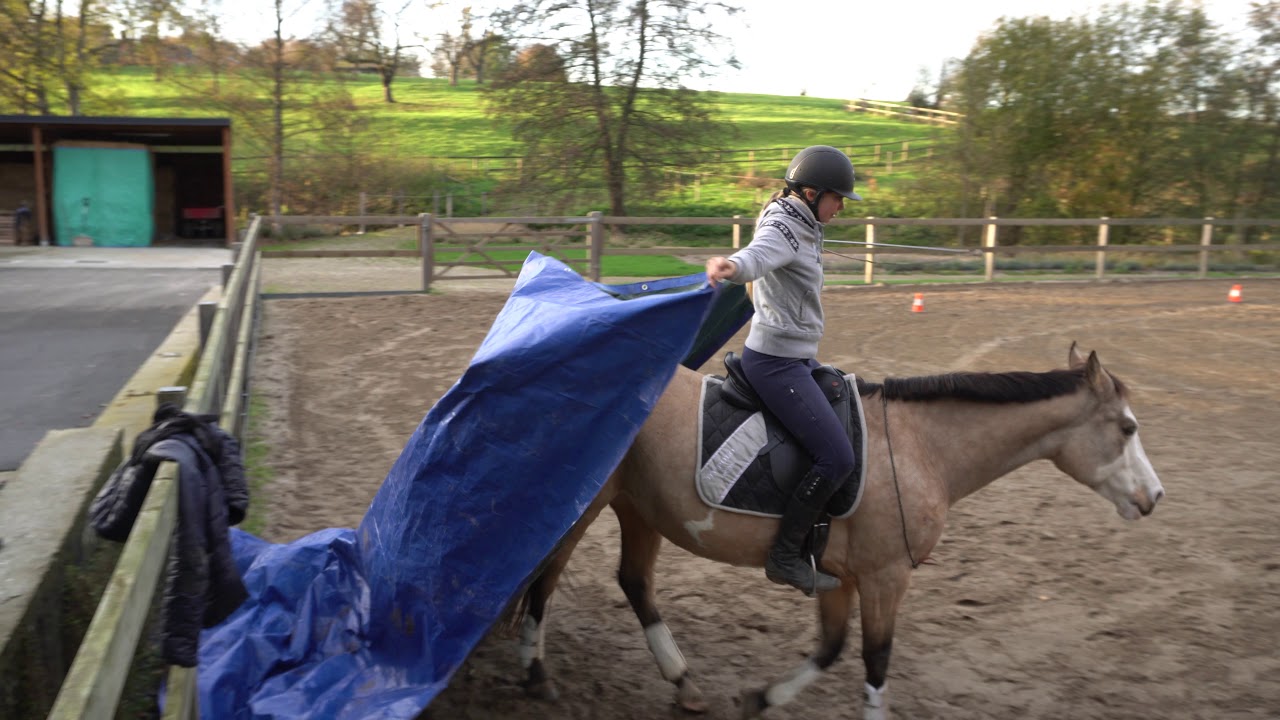 Julie and Unseelie - Level 4 Freestyle Parelli Audition Passed 4++