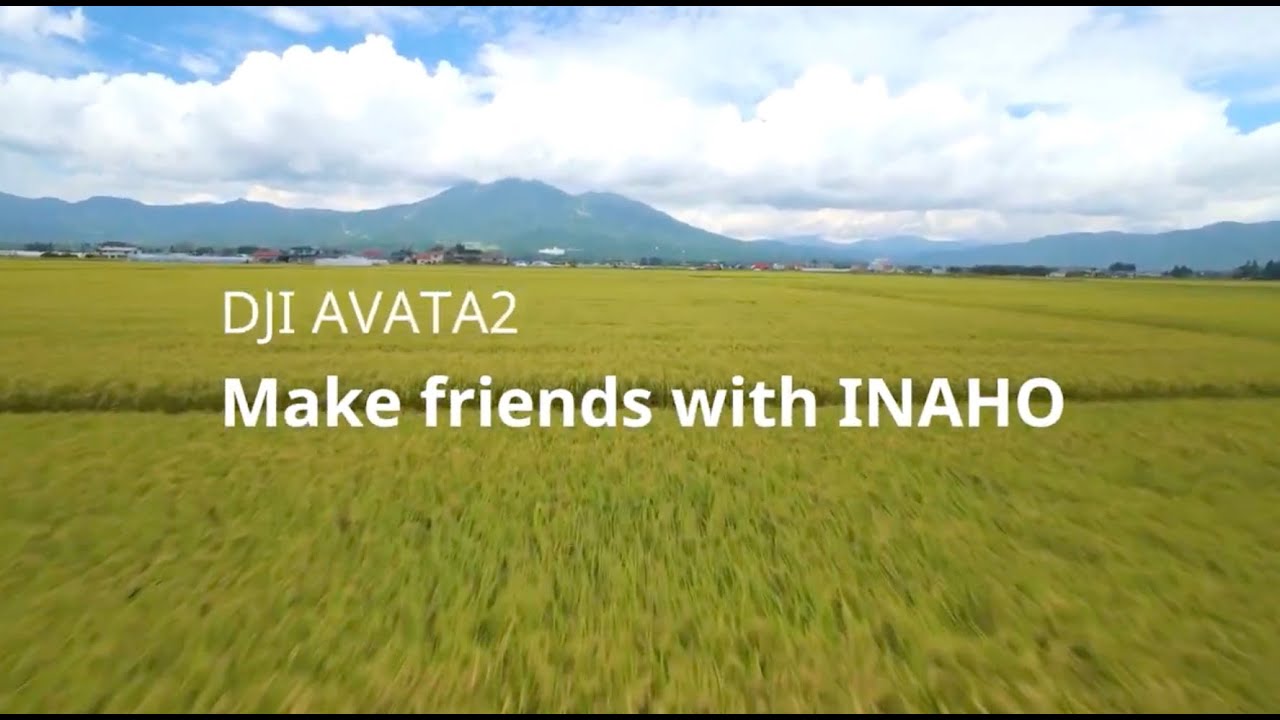 【DJiI AVATA2】稲穂と友達になる/Make friends with INAHO