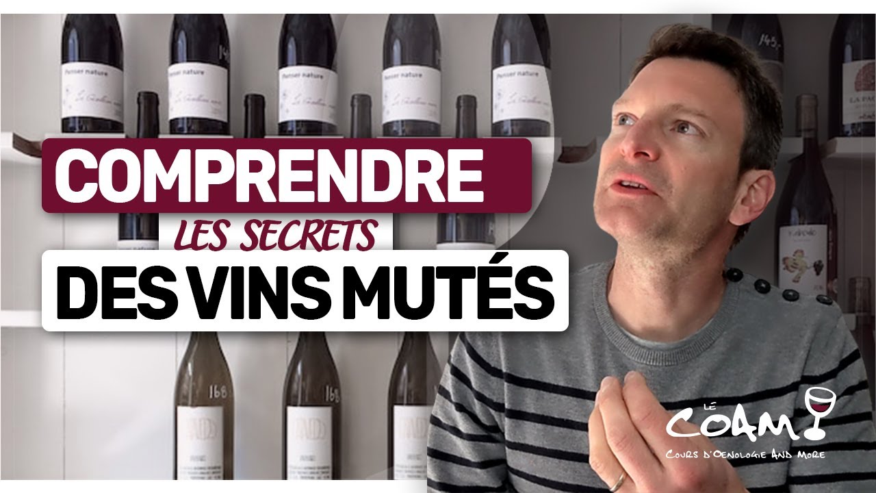 Les Secrets des Vins Mut&eacute;s Expliqu&eacute;s en 7 Minutes
