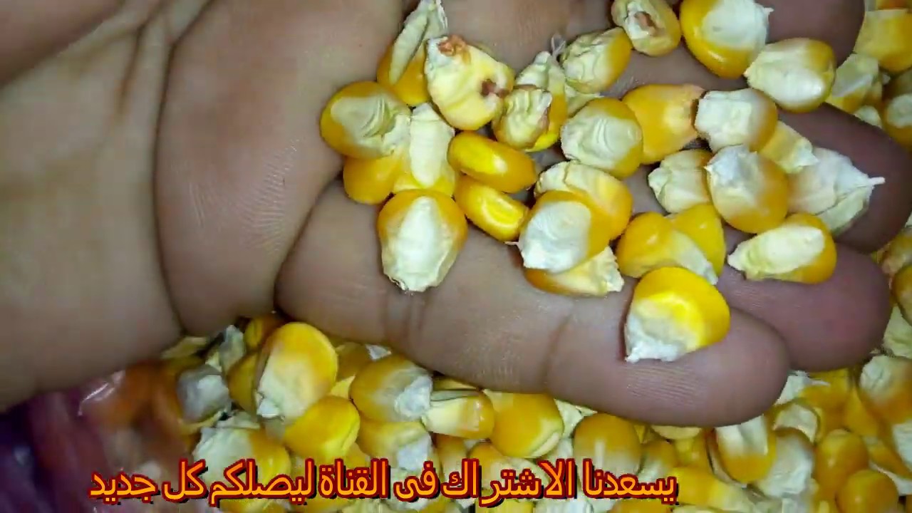اسرار الذره