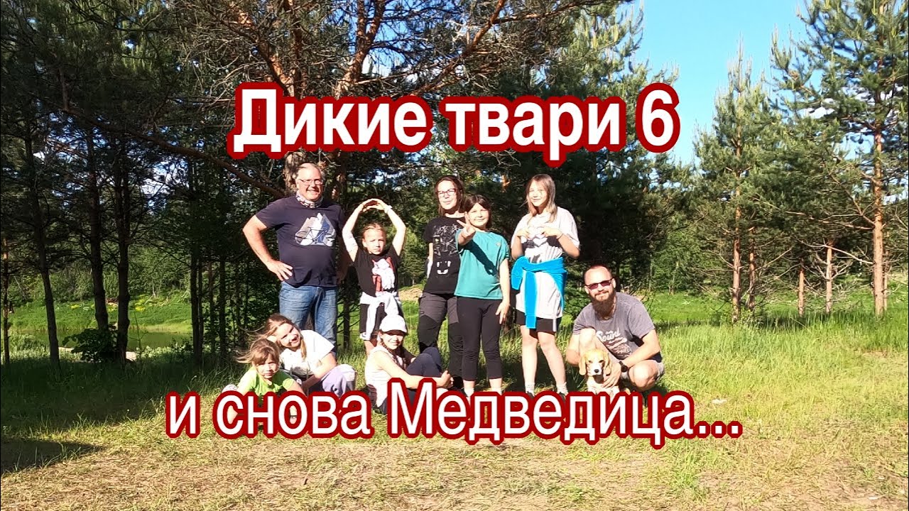 Дикие твари 6: И снова Медведица...