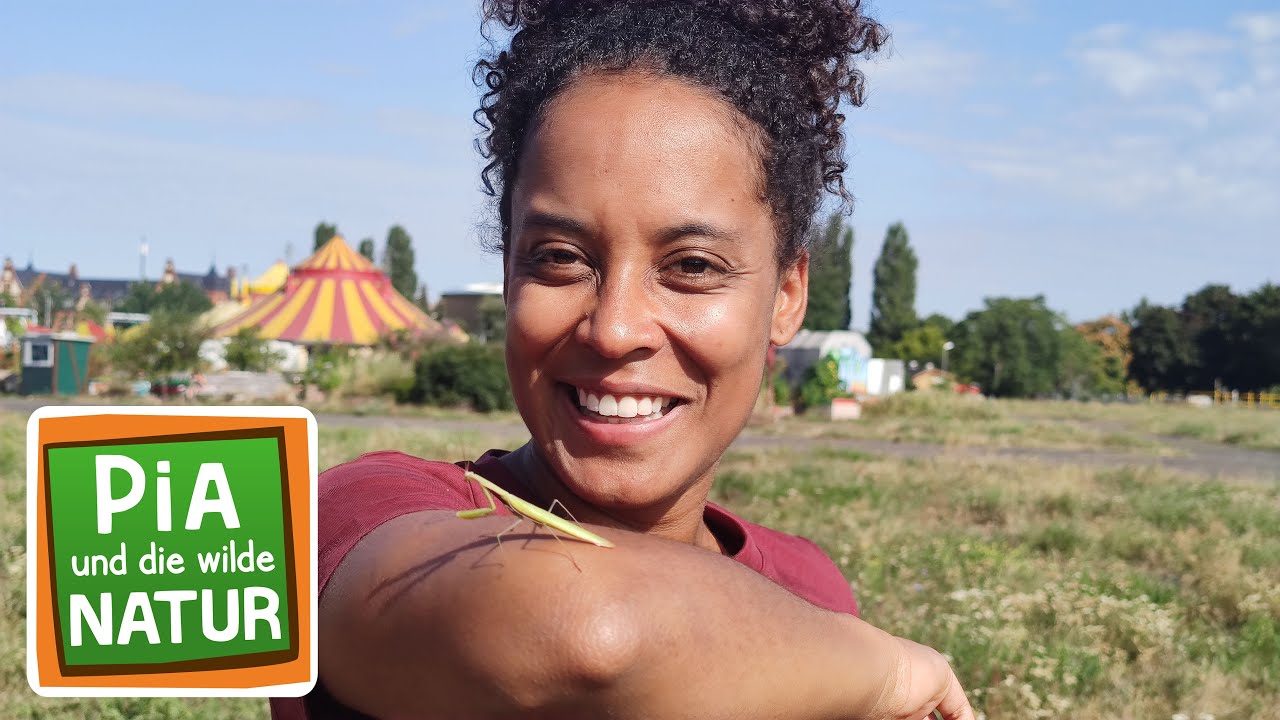 Überraschungen im Trockenrasen |Reportage für Kinder | Pia und die wilde Natur