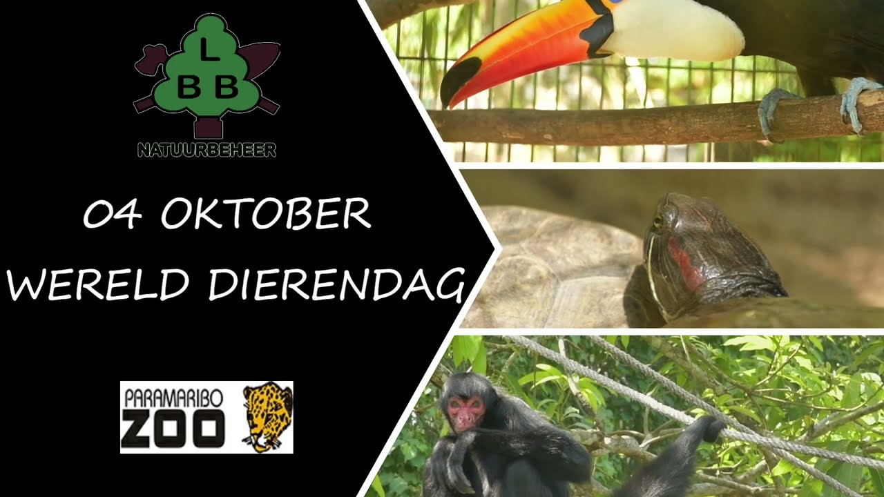 𝗪𝗲𝗿𝗲𝗹𝗱𝗱𝗶𝗲𝗿𝗲𝗻𝗱𝗮𝗴 𝟮𝟬𝟮𝟰