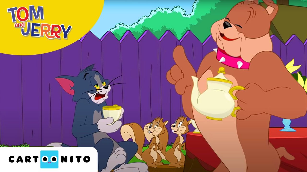 Tom und Jerry | Träum weiter | Cartoonito