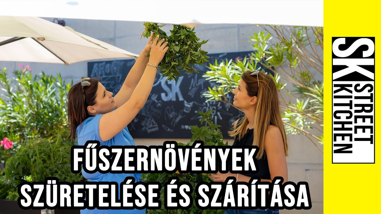 Konyhakertprojekt IV. rész: 🌿 FŰSZERNÖVÉNYEK 🌿 szüretelése és szárítása