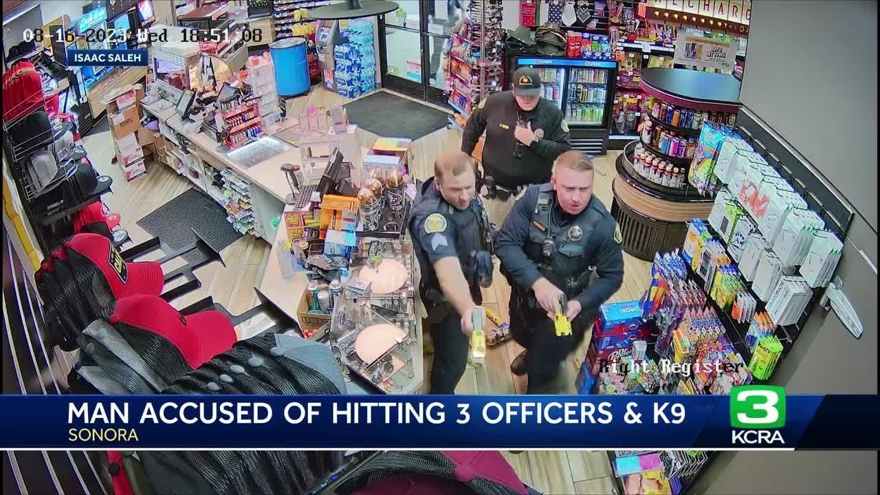 Caught on Video: Man accused of fighting 3 Sonora police offices and their K-9