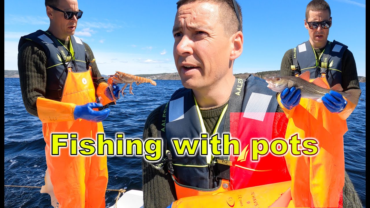 Catching some nice langoustines in Topdalsfjorden, Norway TEINEFISKE i Kristiansand SJØKREPS & TORSK
