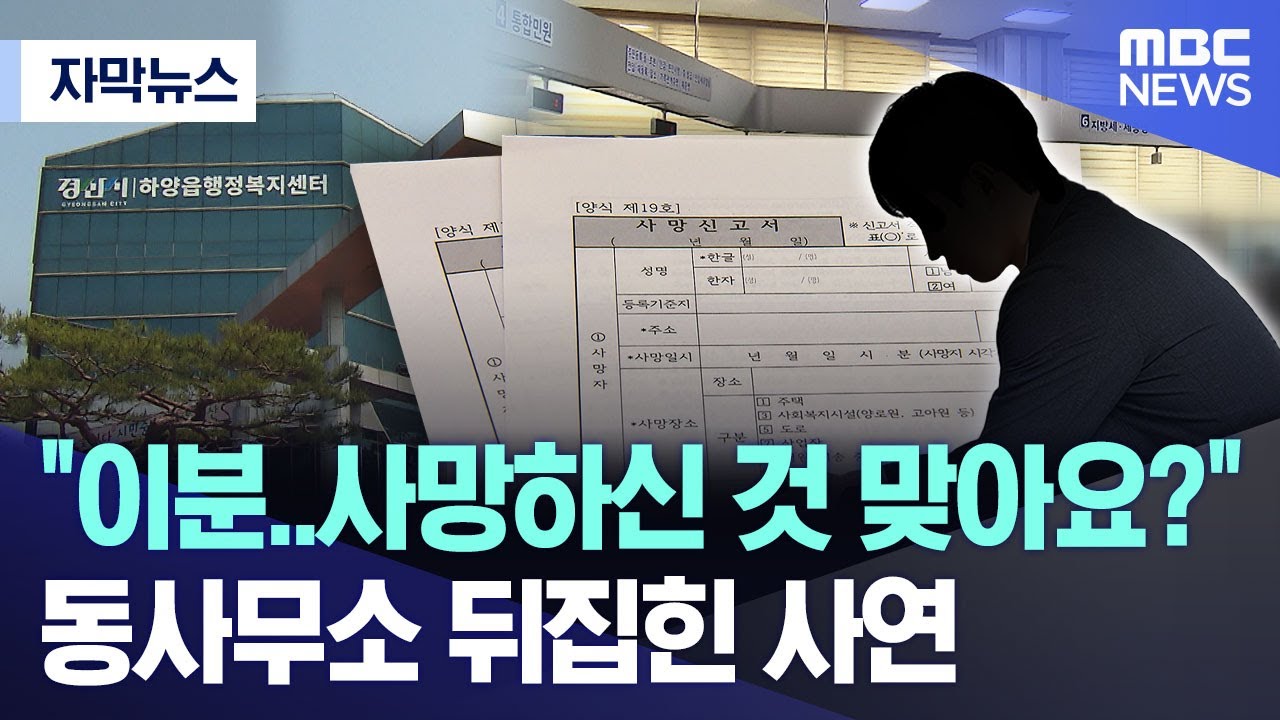 [자막뉴스] 