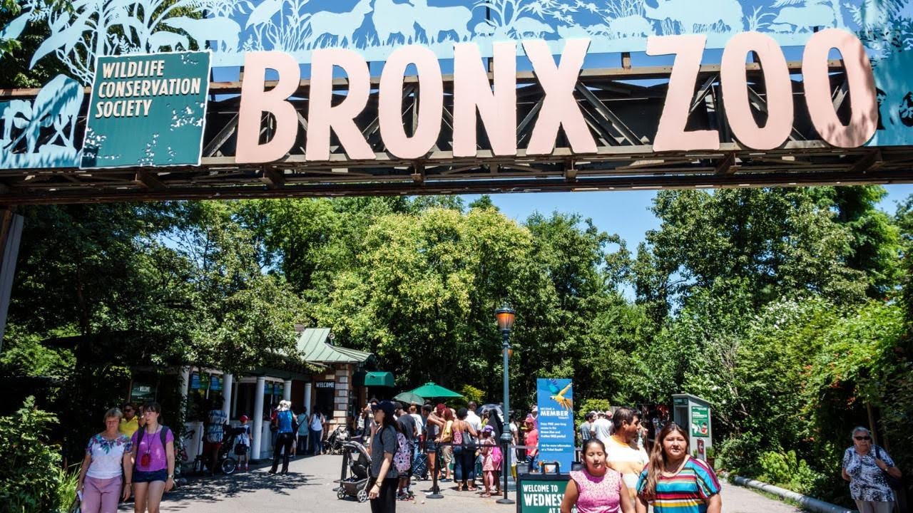 UN DIA DE PASEO EN EL ZOOLOGICO DEL BRONX NEW YORK