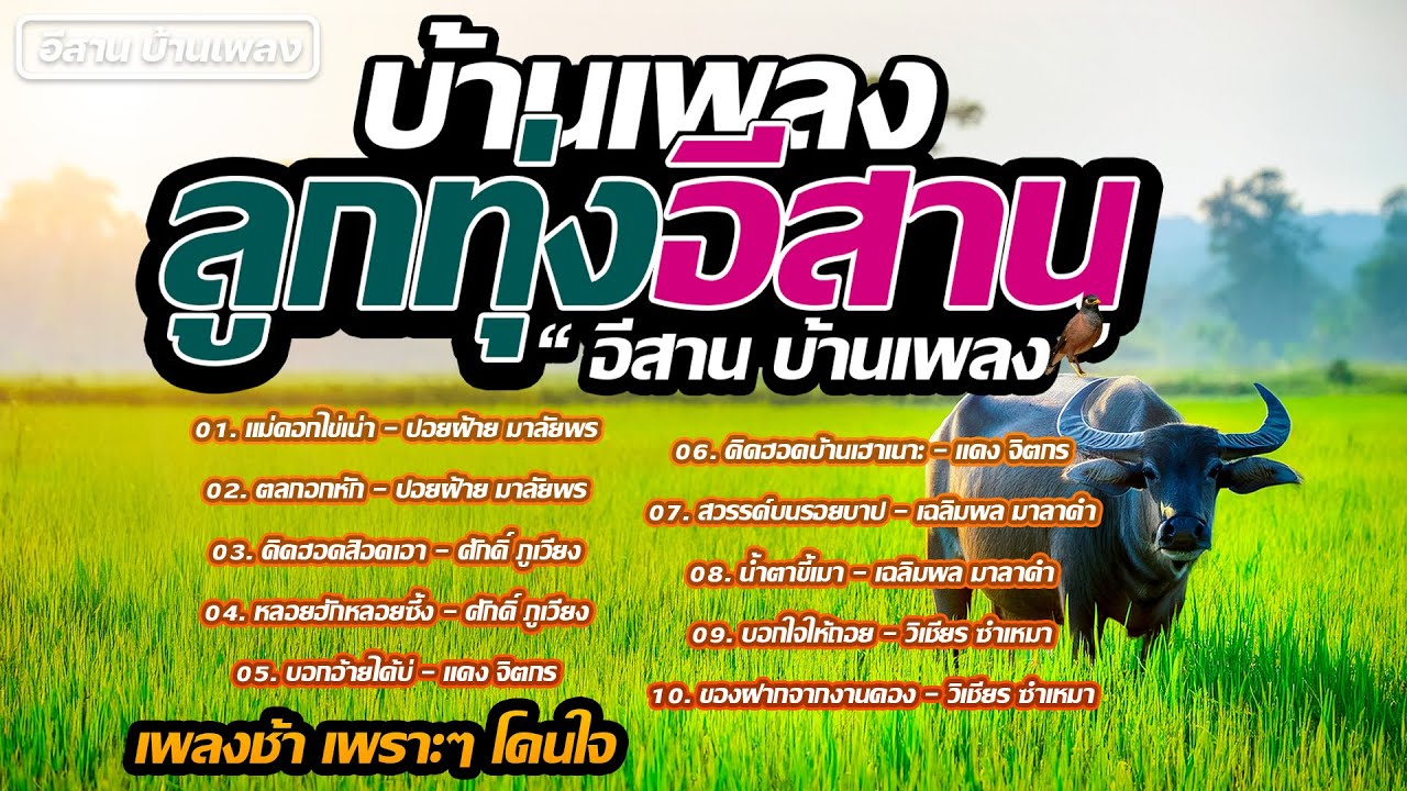 ลูกทุ่งอีสาน เพลงช้า เพราะๆ โดนใจ