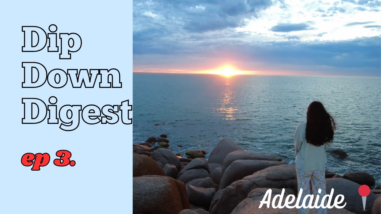 Dip Down Digest ep.3 - Camping, dolphins, food, safari ++