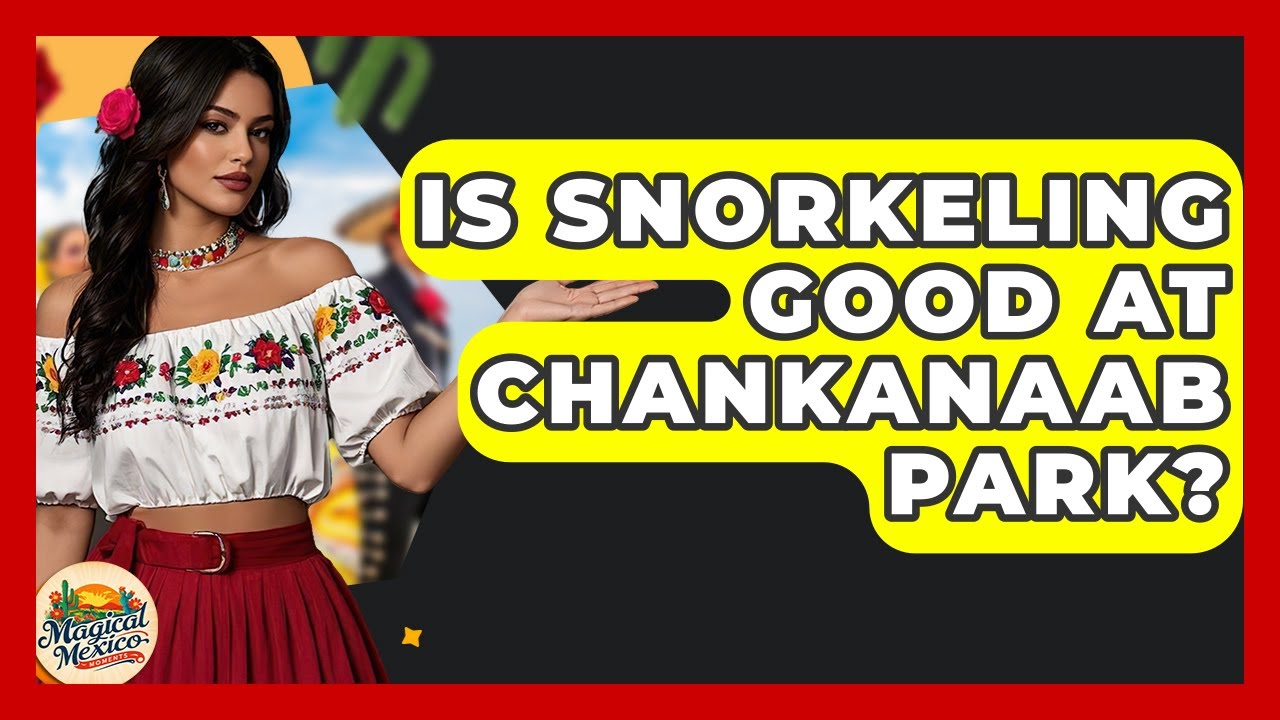 Is Snorkeling Good At Chankanaab Park? - Magical Mexico Moments