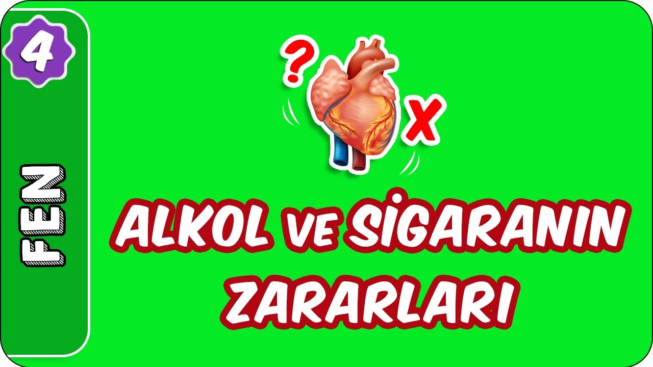 Alkol ve Sigaranın Zararları | 4. Sınıf Fen evokul Kampı
