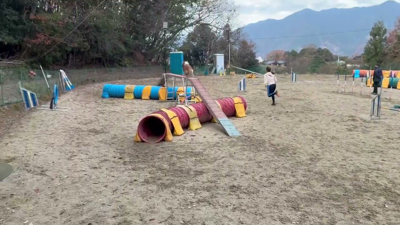 2025 1219 2 真鶴