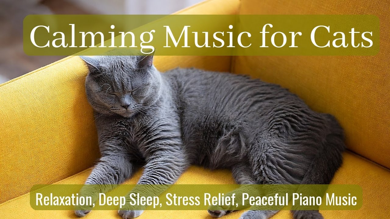 Calming Music for Cats - Relaxation, Deep Sleep, Stress Relief, Peaceful Piano Music | Season 87