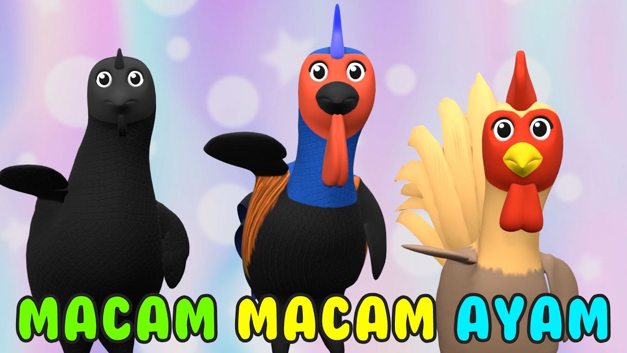 Macam Macam Ayam - Lagu Anak Indonesia Terbaru