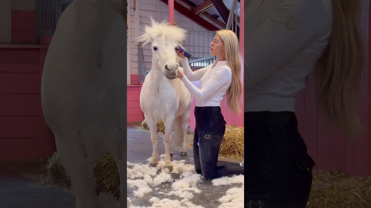 This is so SATISFYING😍 Horse clipping🐴 #shorts #satisfying #horse #horses