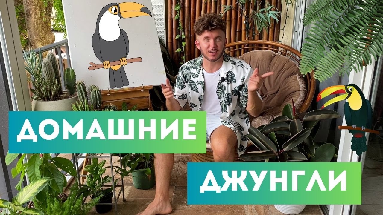 Мои РАСТЕНИЯ на БАЛКОНЕ
