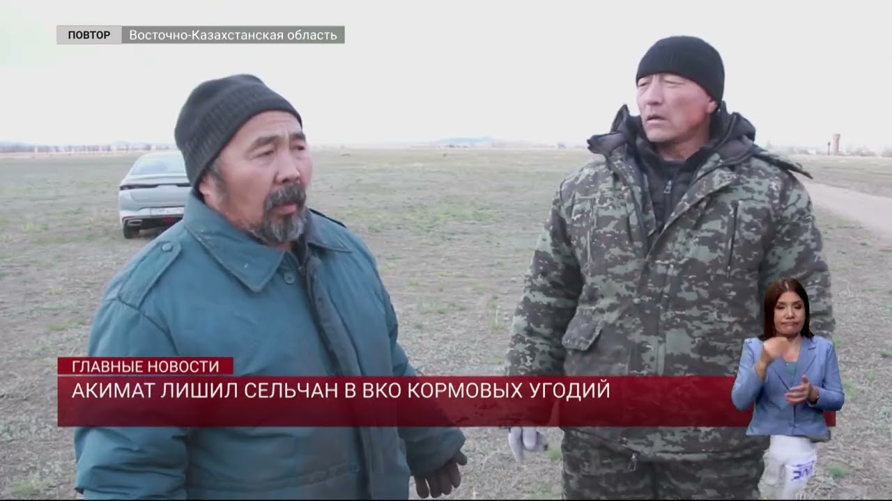 Акимат лишил сельчан в ВКО кормовых угодий
