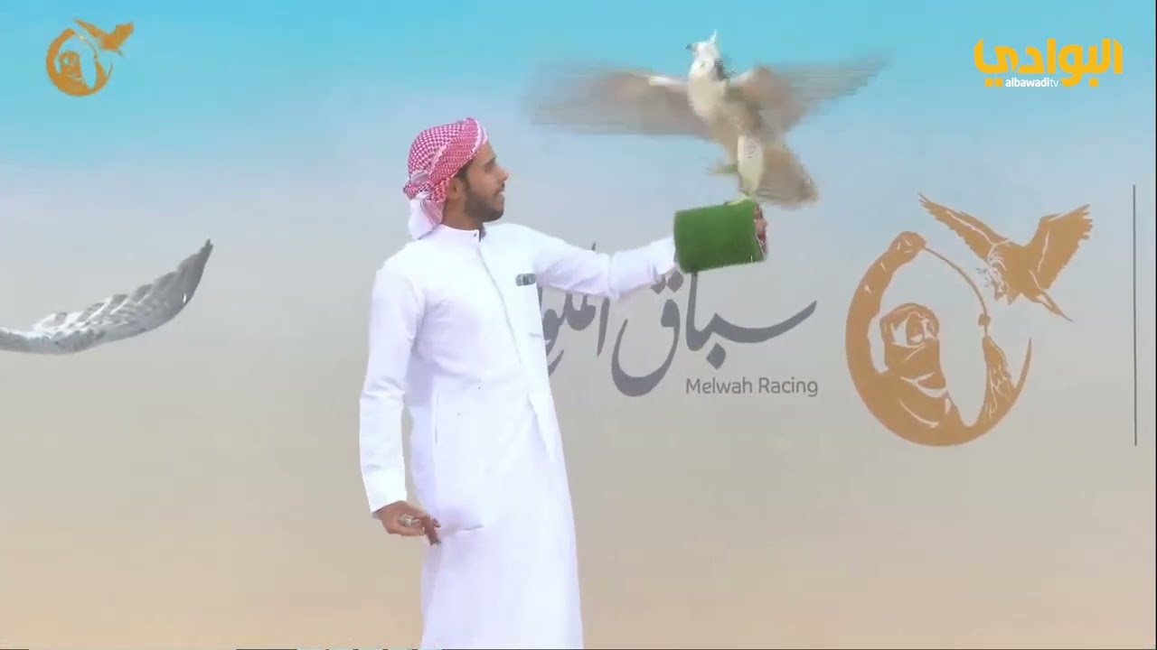 سباق الملواح | شوط  فئة جير شاهين قرناس | نادي الصقور السعودي 2022
