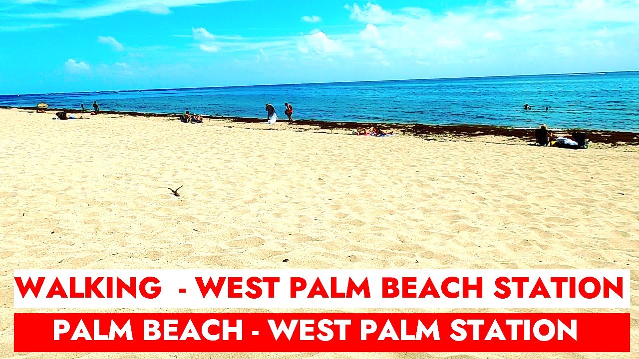 Palm Beach 🏖️🏝️ Vicinity & Neighbourhood Exploring in Florida