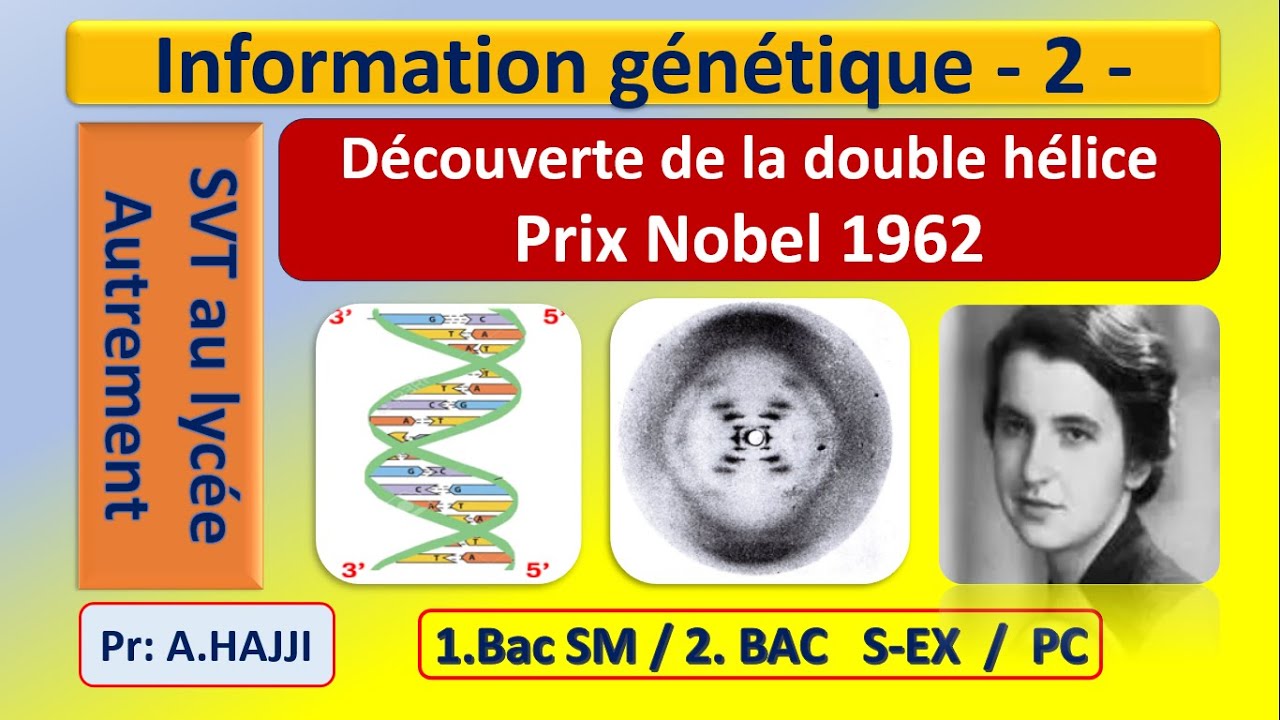 ADN: découverte de la double hélice par Watson et Crick - Prix Nobel de médecine 1962