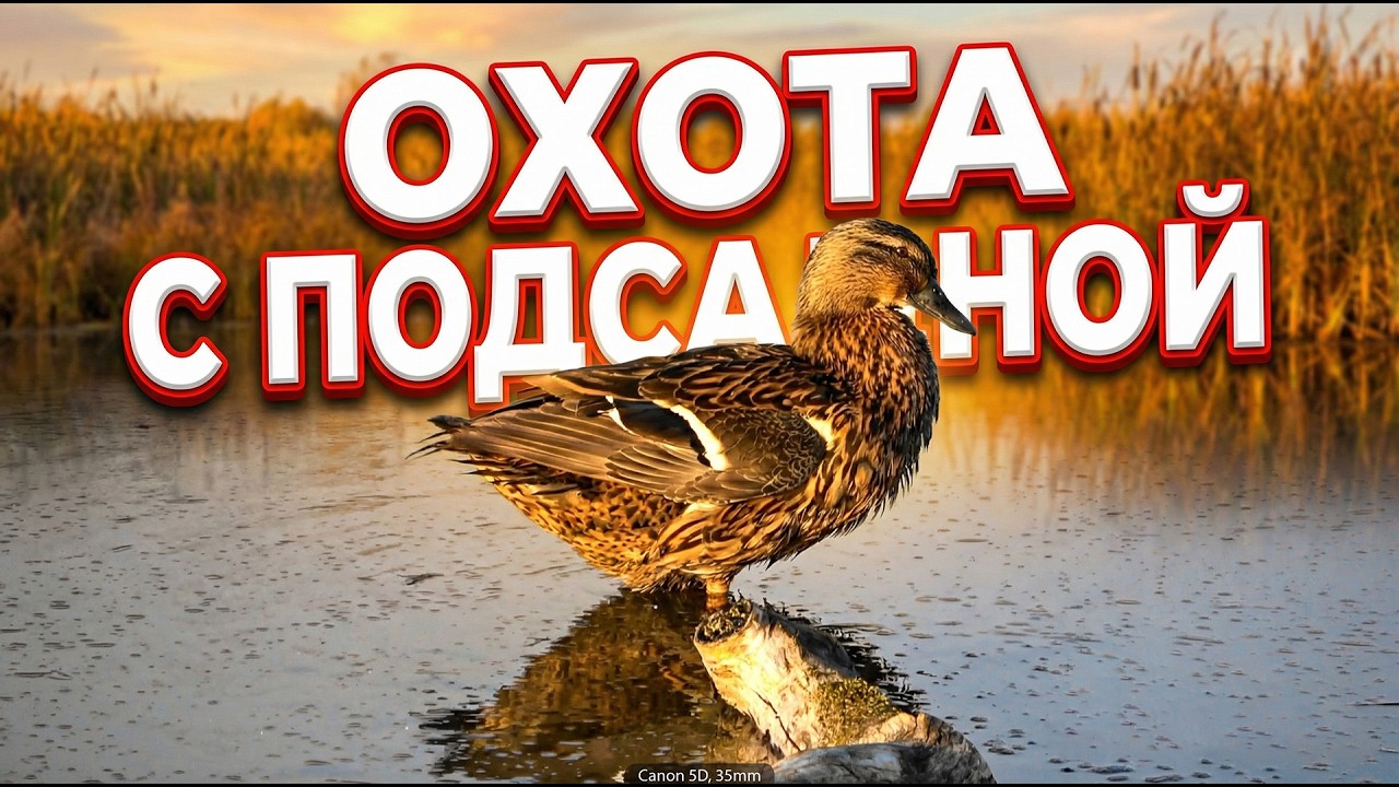 Весенняя охота с подсадной уткой #5 \ В гостях у Веры