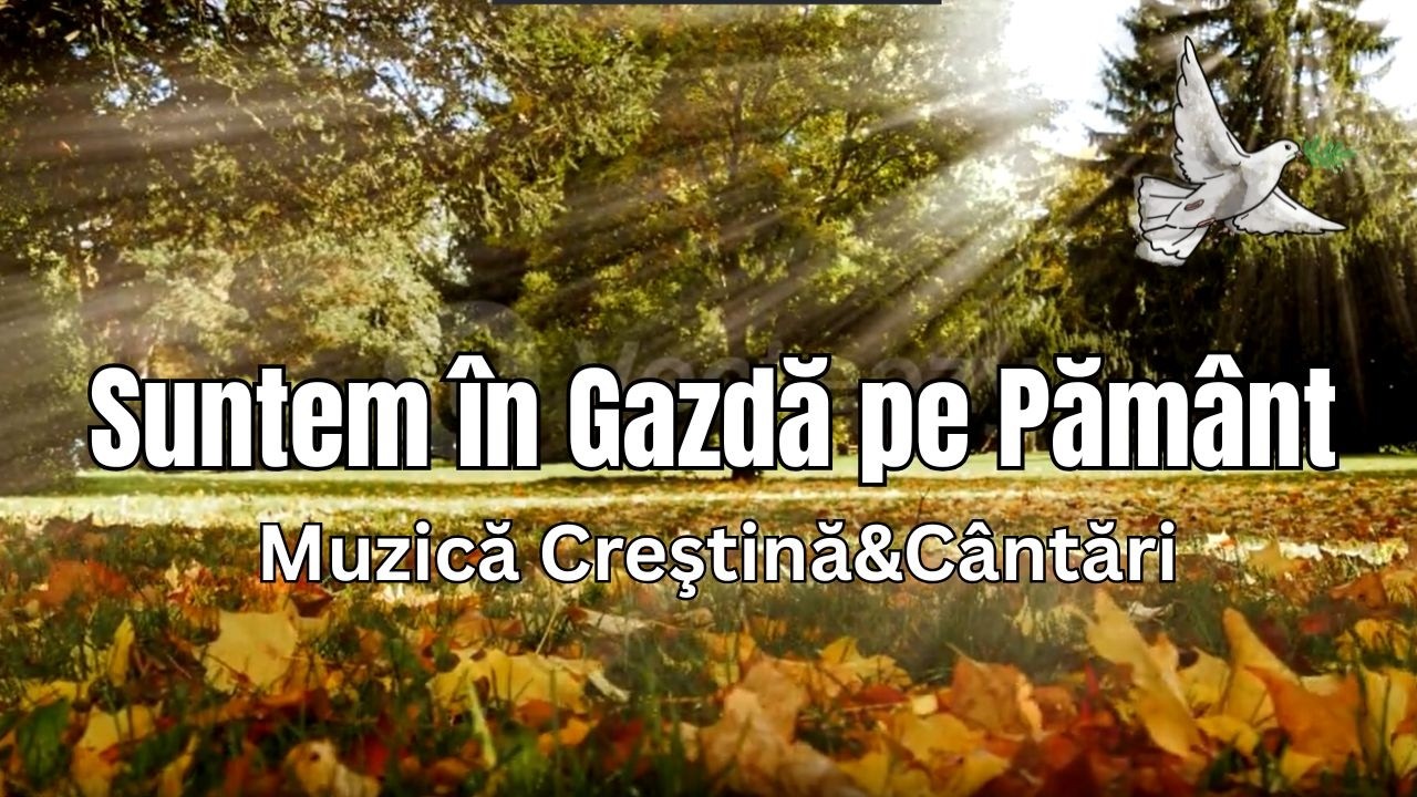 🏠✨ Suntem în Gazdă pe Pământ Muzică Creştină&Cântări ✨🙏