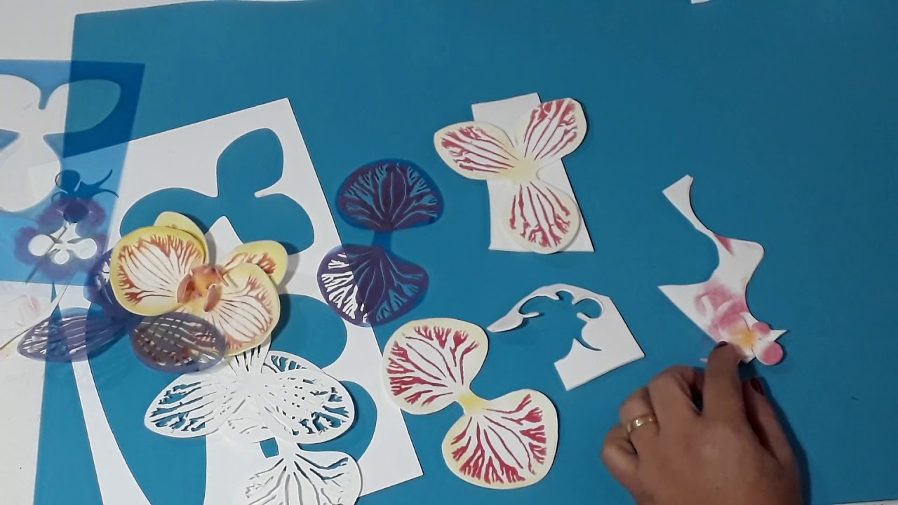 Orquídea Phalaenopsis com Stencil