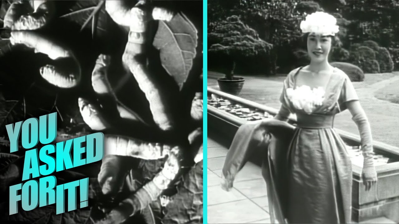 The Art of Japanese Silk Making (1959) | You Asked For It