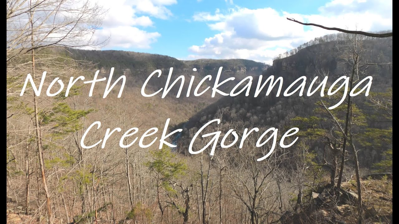 North Chickamauga Creek Gorge, Cumberland Trail, Tennessee