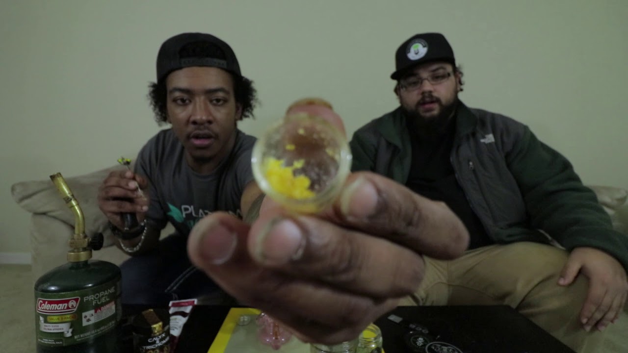 Mac & Shak Strain Review/// Bodhi High and Experience Organics