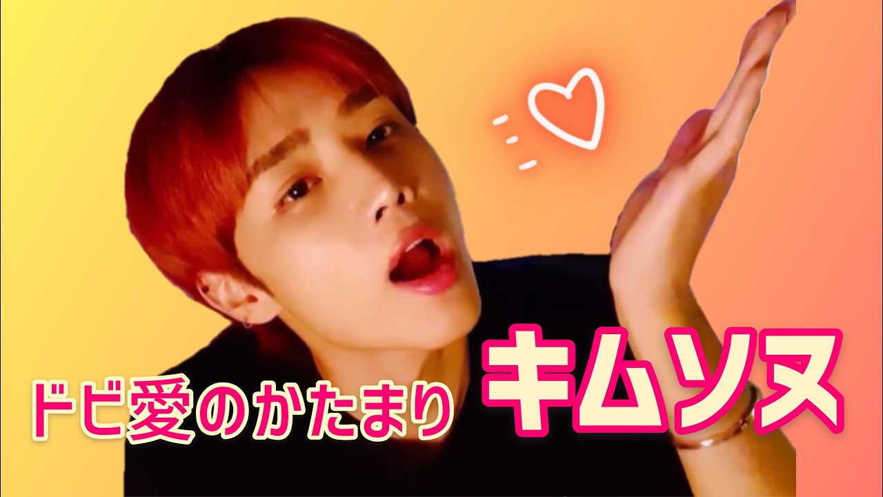 The boyz / ドボイズ ソヌのドビ愛 【日本語字幕】
