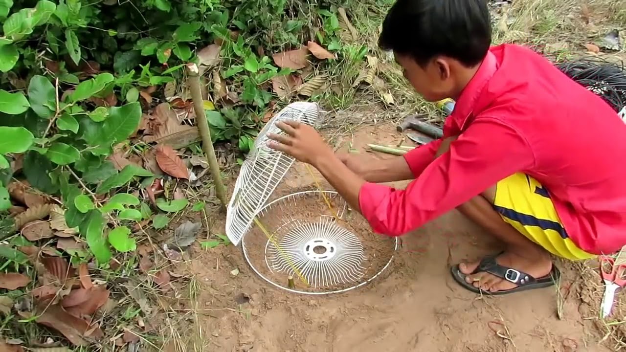 Amazing Quick Monkey Trap Using Electric Fan Cover & Wood That Work 100    How T HD