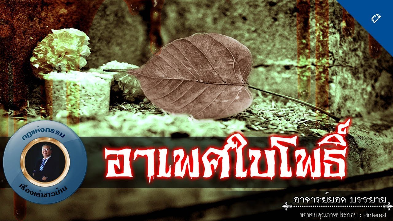อาจารย์ยอด : อาเพศใบโพธิ์ [ผี] new